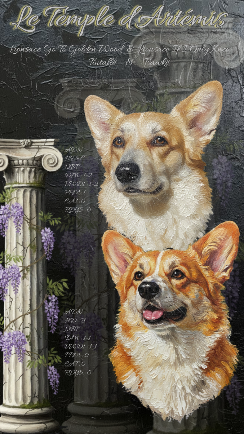 Bientôt des bébés